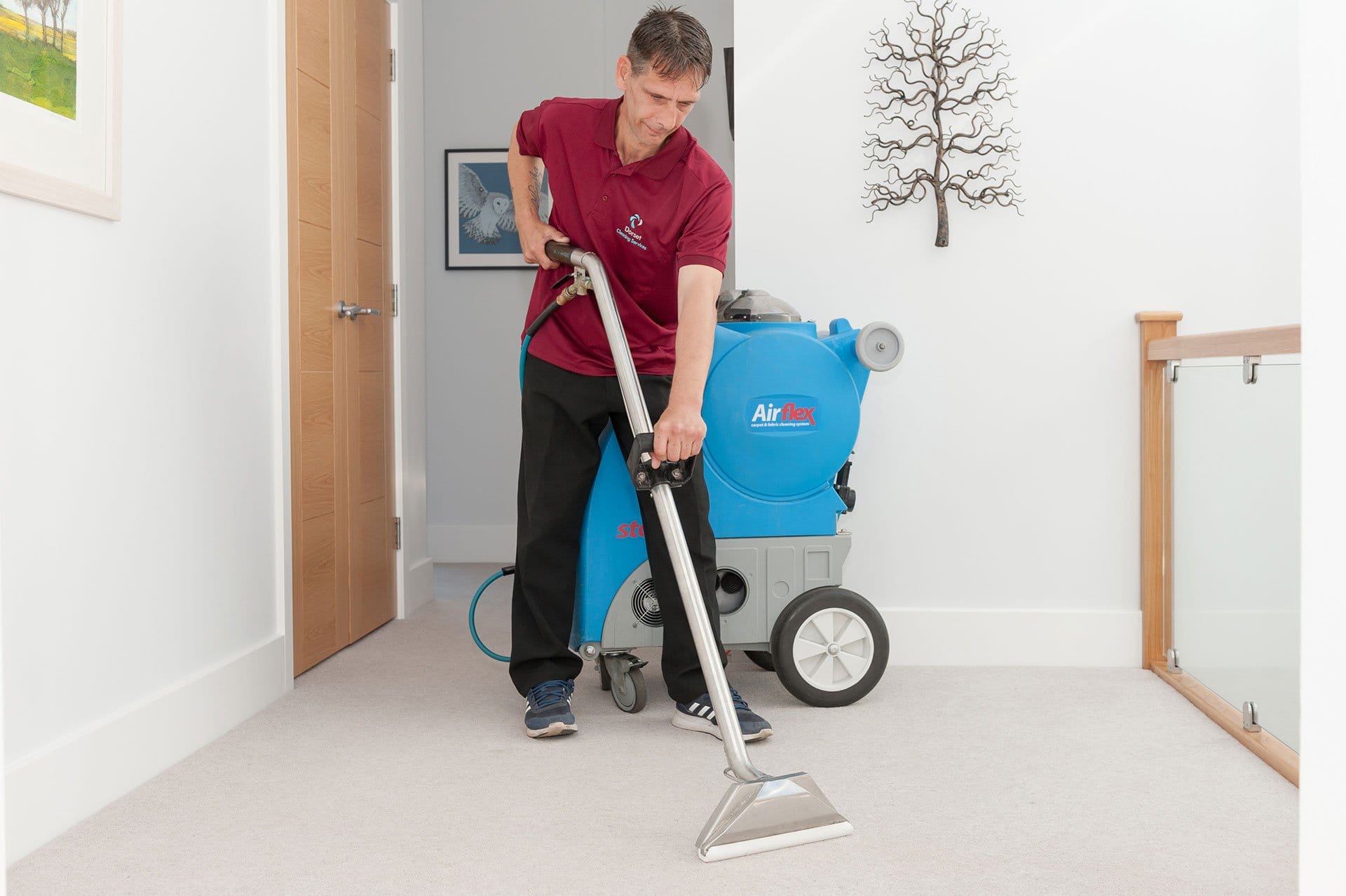 Dorset Cleaning Services LTD - Weymouth, UK, carpet cleaner