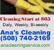 ana's house cleaning services co
