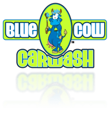 blue cow car wash