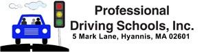 professional driving schools