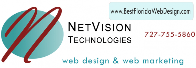 netvision technologies - best florida web design
