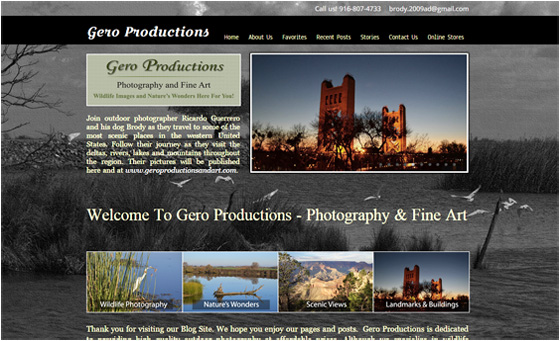 BG Services AZ - Peoria, AZ, US, website design