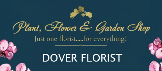 plant, flower & garden shop dover