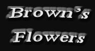 brown's flowers