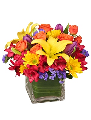 Ballard's Flower Shop - Trumann, AR, US, beautiful blooms