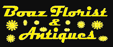 boaz florist & antiques