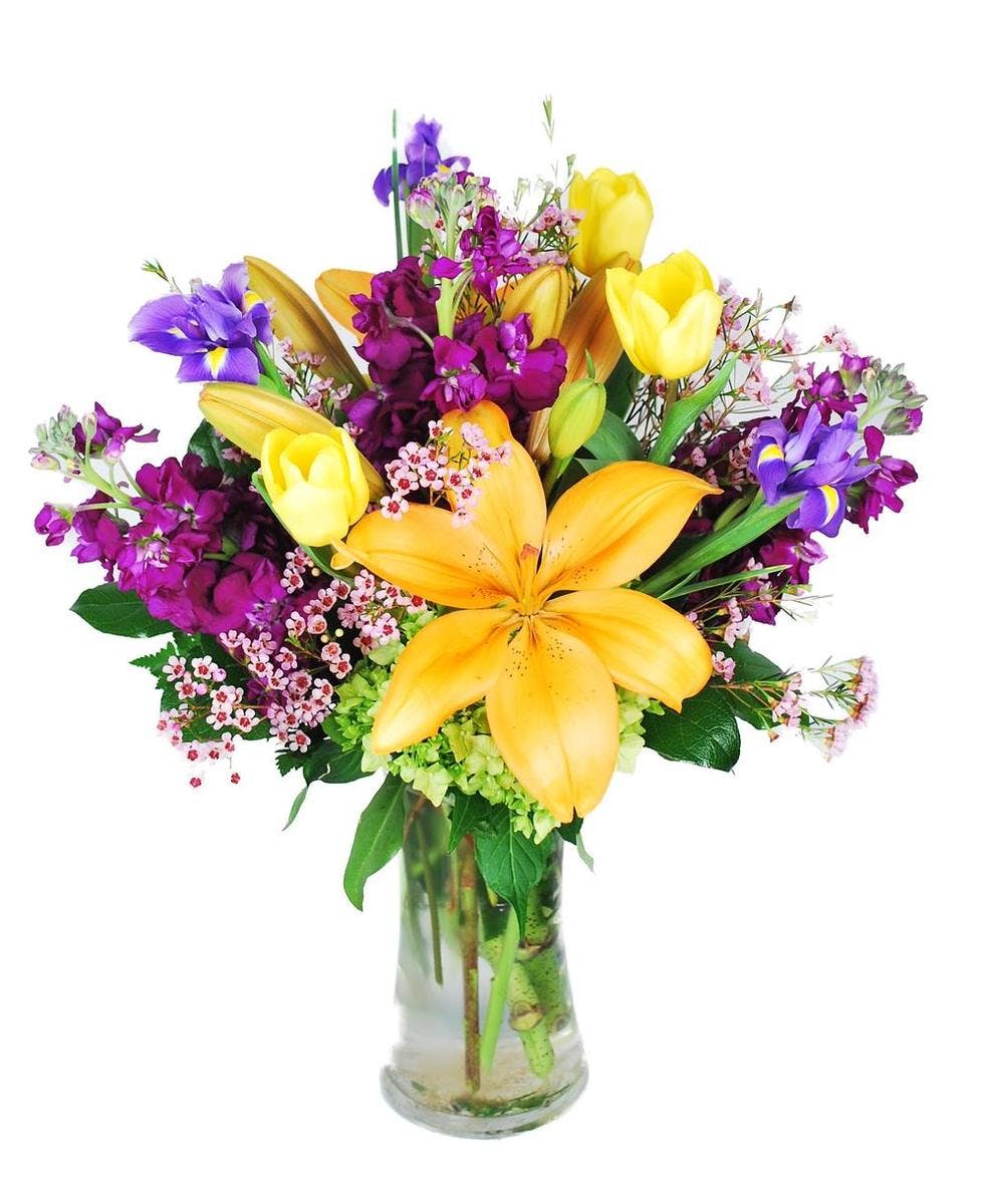 Al's Florist & Gifts - Hollywood, FL, US, international flowers