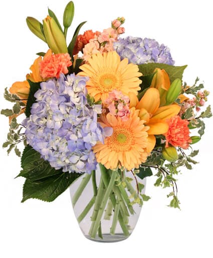 Donna's Florist And Gifts - Bristol, CT, US, international flowers