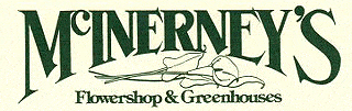 mc inerney's flower shop