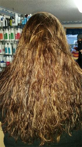 Dolphin Hair Designs - Anchorage, AK, US, hair braiding salons