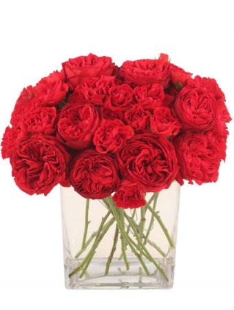 Wilma & Rubee's Flowers - Jasper, AL, US, send mothers day flowers