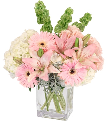 Aasyaa Flowers & Gifts - Sun City, AZ, US, bereavement flowers