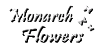monarch flowers