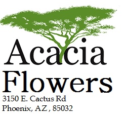 acacia flowers