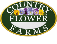 country flower farms