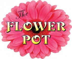 the flower pot
