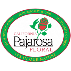 california pajarosa floral