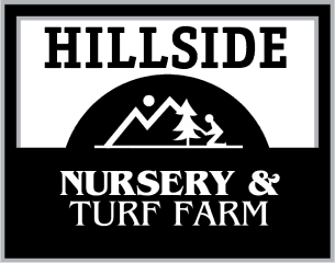 hillside nursery
