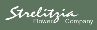 strelitzia flower company