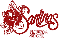 santina's flowers & gifts