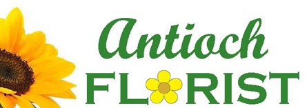 antioch florist