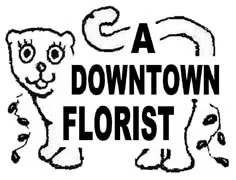 a downtown florist altamonte
