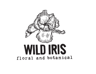 wild iris floral and botanical