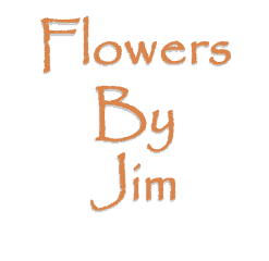 flowers by jim