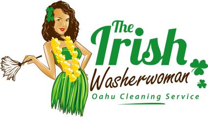 the irish washerwoman