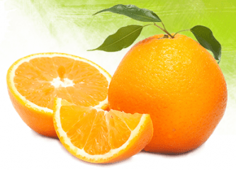 hancock citrus