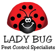 lady bug eco-friendly pest control