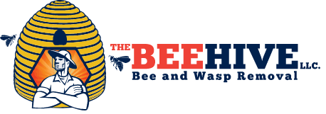 the beehive bee and wasp removal