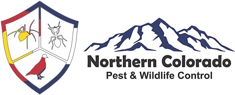 northern colorado pest and wildlife control