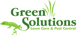 green solutions lawn care & pest control