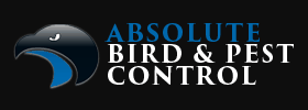 absolute bird and pest control