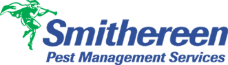 smithereen pest management services