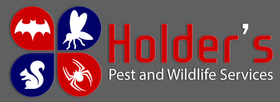 holders pest & wildlife services