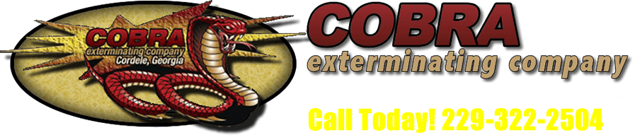 cobra exterminating co