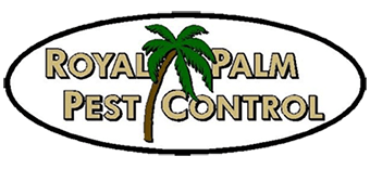 royal palm pest control