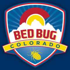 bed bug colorado