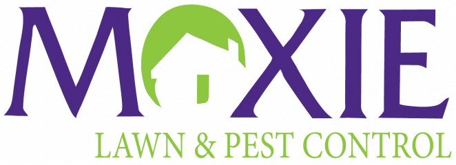 moxie lawn & pest control
