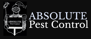absolute pest control