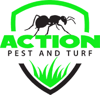 action pest and turf