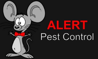 alert pest control services