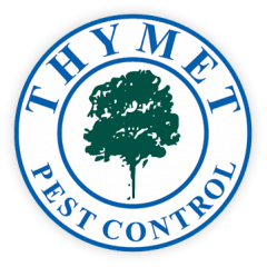 thymet pest control