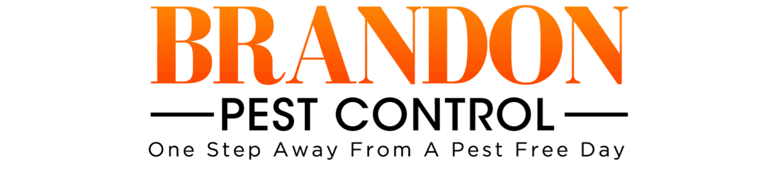 brandon pest control
