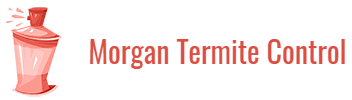 morgan termite control