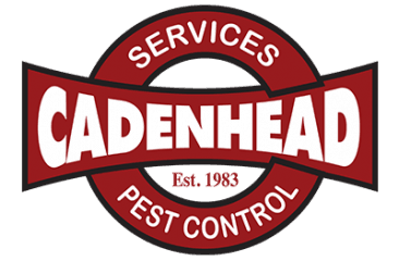 cadenhead services pest control