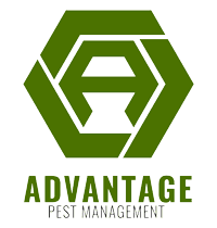advantage pest management