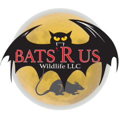bats r us wildlife removal specialist llc